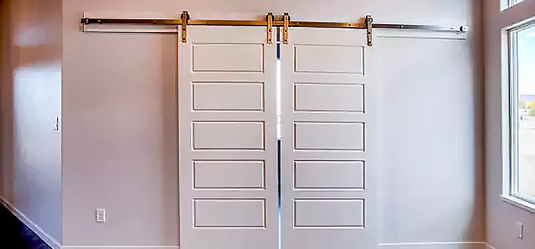 Glass Barn Door with Installation Hardware Kit Cameron Park